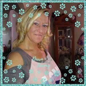 Meet your Posher, Dawn